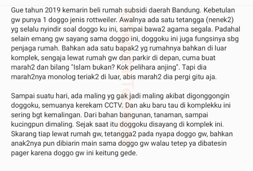 Kisah Haru Anjing Dibenci Tetangga sampai Disayang Satu Kompleks. (Twitter/@SeputarTetangga)