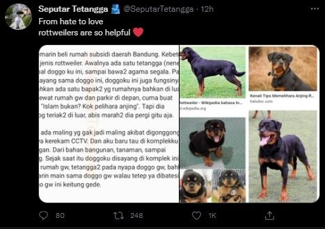 Kisah Haru Anjing Dibenci Tetangga sampai Disayang Satu Kompleks. (Twitter/@SeputarTetangga)