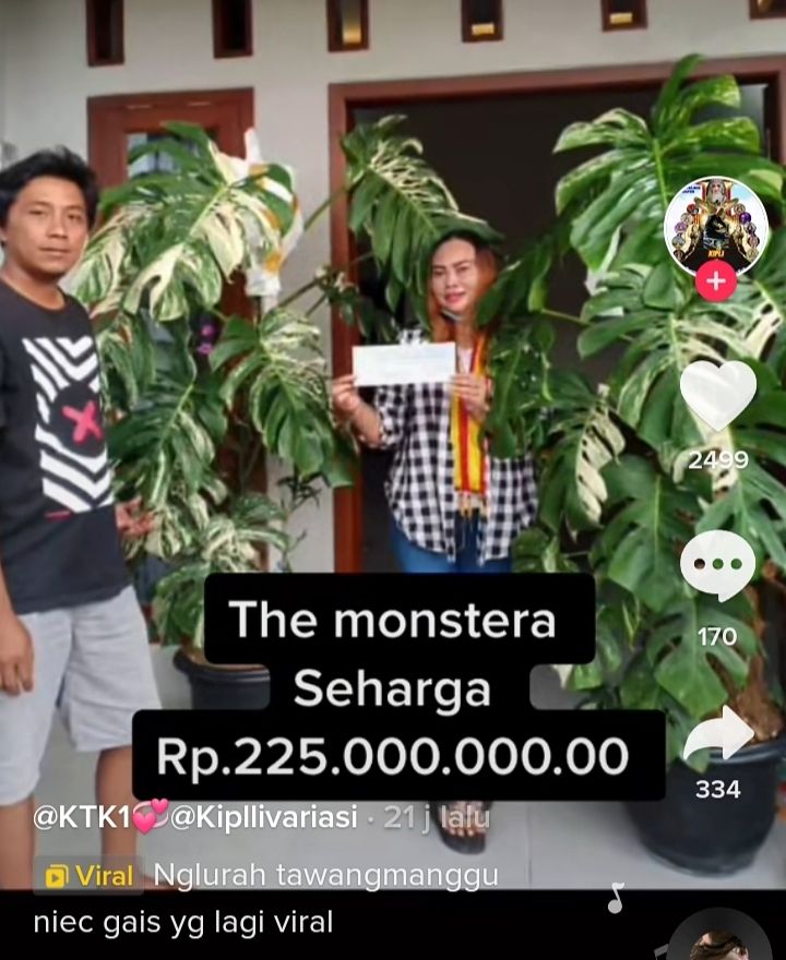 Tangkapan layar media sosial (medsos) tiktok.