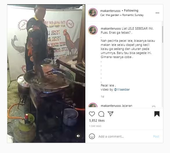 Pecel lele raksasa (Instagram @makanterusss)