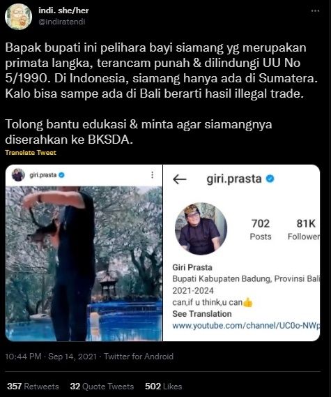 Bupati Badung Banjir Kritik Pedas Karena Pelihara Hewan Langka Siamang. (Twitter/@indiratendi)