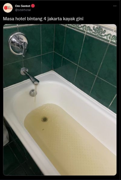 Warganet Curhat Check In ke Hotel Bintang 4, Dibuat Kaget Pas Lihat Air di Bathub. (Twitter/@txtdrhotel)