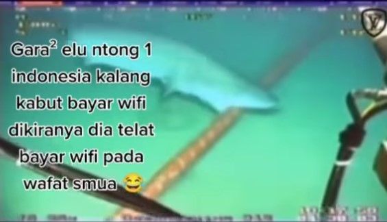 Beredar video kabel Telkomsel dan Indihome digigit hiu di dasar laut. Dalam video viral yang beredar di media sosial itu menyebut bahwa terganggunya jaringan internet Telkomsel dan Indihome disebabkan oleh ikan hiu.