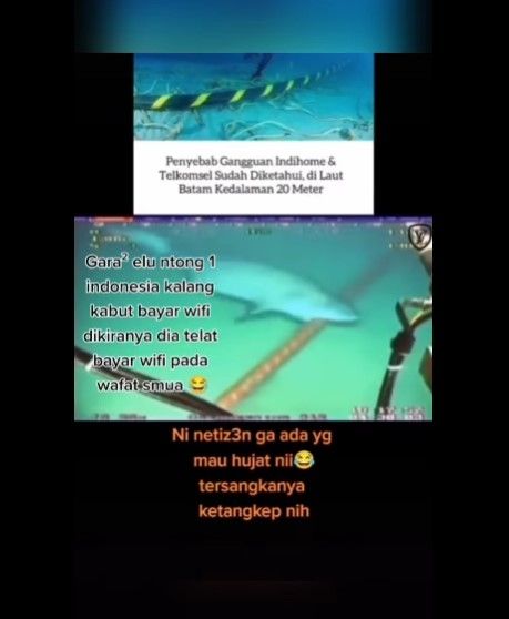 Beredar video kabel Telkomsel dan Indihome digigit hiu di dasar laut. Dalam video viral yang beredar di media sosial itu menyebut bahwa terganggunya jaringan internet Telkomsel dan Indihome disebabkan oleh ikan hiu.