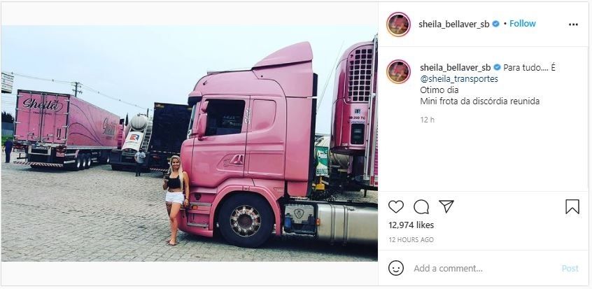 Influencer Wanita yang Jadi Sopir Truk Serba Pink (instagram.com/sheila_bellaver_sb)