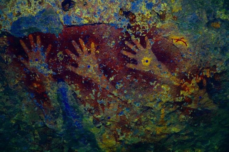 Gambar cadas prasejarah di Pulau Kisar. Foto: Gambar motif ikan di atas gambar motif cap tangan purba yang ditemukan oleh tim arkeolog dari Balai Arkeologi Maluku di Pulau Kisar pada 2019. [Antara/Balai Arkeologi Maluku]