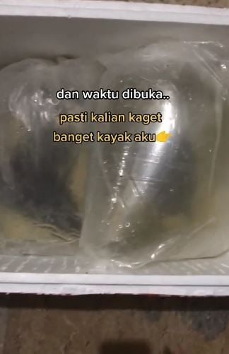 Wanita dapat kiriman ikan gratis. (Tiktok/@yumsbetta)