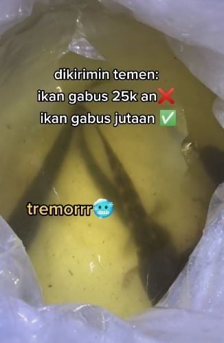 Wanita dapat kiriman ikan gratis. (Tiktok/@yumsbetta)