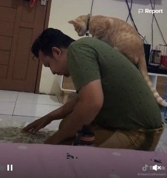 Viral kucing ganggu orang sholat ramai diperbincangkan netizen. Bahkan aksi kucing itu mendapatkan reaksi positif dari netizen, banyak yang gemes dengan tingkah laku kucing itu.