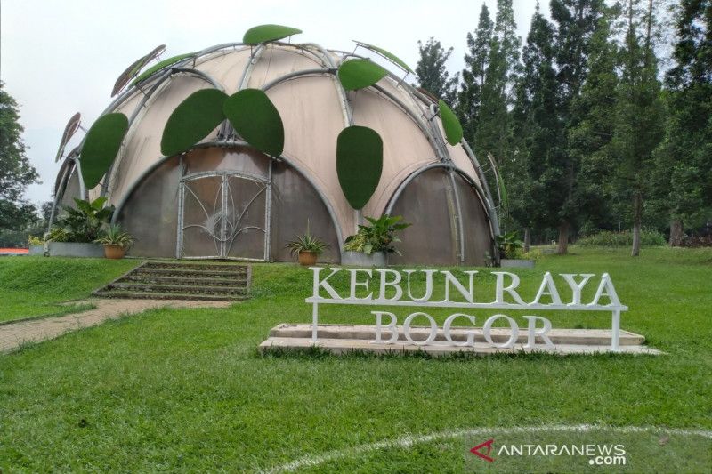 Ilustrasi Kebun Raya Bogor. [Antara]