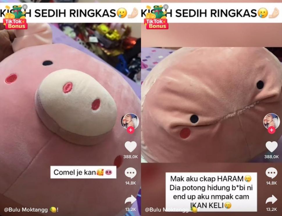 Boneka babi yang dibuang hidungnya (TikTok)