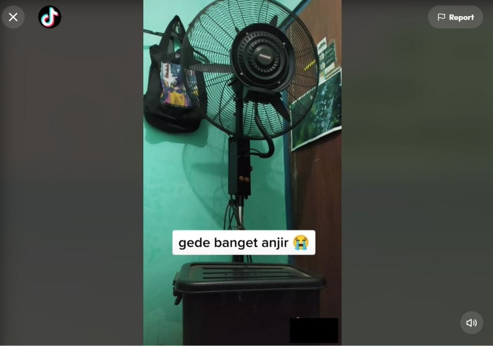 Minta Bapak Beli Kipas Angin, Pria ini Syok Pas Barangnya Datang (TikTok)