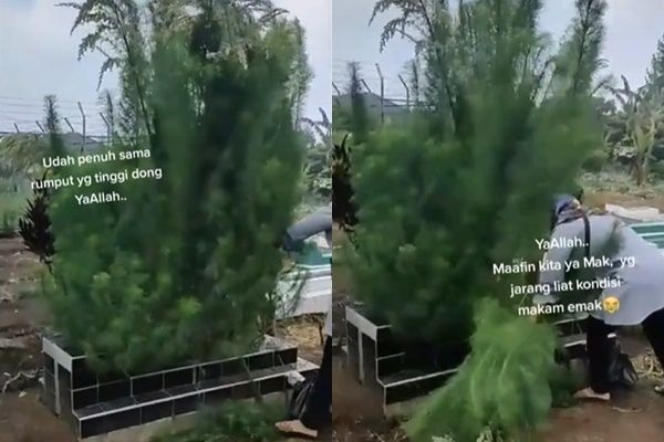 Viral Cowok Ziarah ke Makam Ibu, Syok Lihat Bentuk Kuburan. (TikTok)