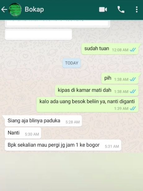 Minta Bapak Beli Kipas Angin, Pria ini Syok Pas Barangnya Datang (TikTok)