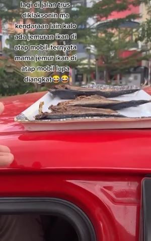 Ada barang tertinggal di atap mobil. (Tiktok/@mulyanapamming380)