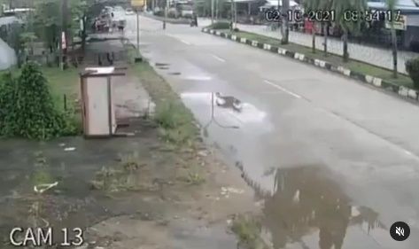 Viral Video Ibu-ibu Selamatkan Anaknya yang Mau Menyeberang di Kaltim. (Instagram/@andreli48)