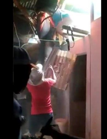 Viral atlet Paralayang PON Papua mendarat di geting rumah warga. Netizen tegang dan komentar PON rasa survival game. Kebanyakan mereka bersyukur si Atlet Paralayang tidak mendarat di kawasan banyak buaya.