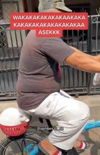 Bapak modifikasi sepeda demi ajak kucing jalan-jalan. (Tiktok/@jajull22)