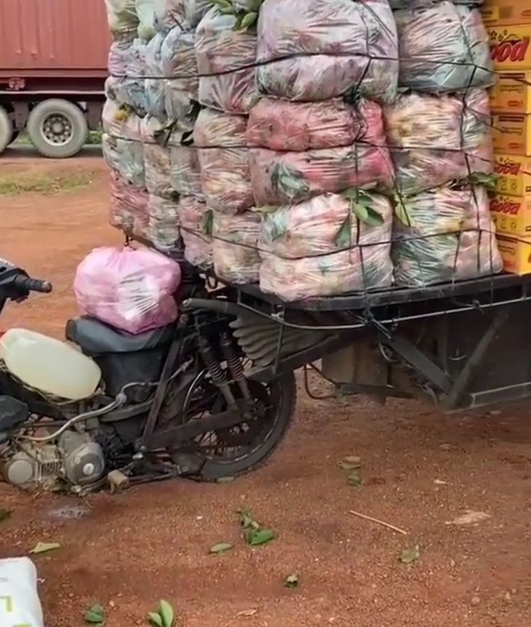 Viral Honda Supra dengan muatan setara truk. (Instagram)