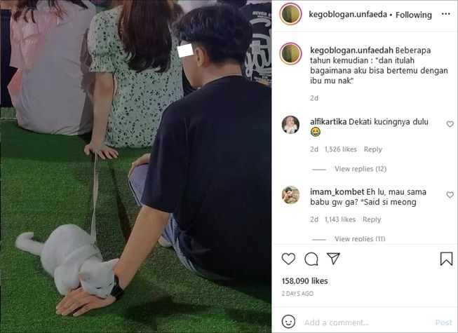 Viral ulah gemas kucing bak jadi mak comblang. (Instagram/@kegoblogan.unfaedah)