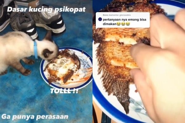 Viral Cowok Nangis Goreng Ikan Lohan Kesayangan. (TikTok)