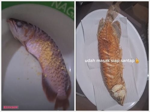 Istri Goreng Ikan Arwana (TikTok)