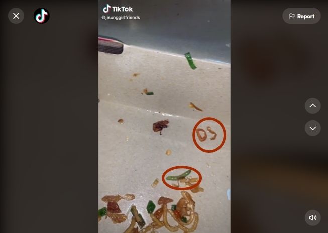 Viral wanita temukan ulat di makanan, warganet malah salfok lihat bentuk bawang goreng. (TikTok/@jisunggirlfriends)