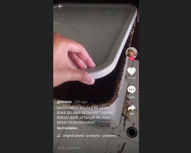 Viral dispenser beras setahun tak dibuka, isinya berubah mematikan. (TikTok/@kumiskucenk)