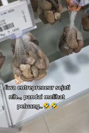 Batu sungai dijual Rp 7 ribu. (Tiktok/@armyamahfuzh)