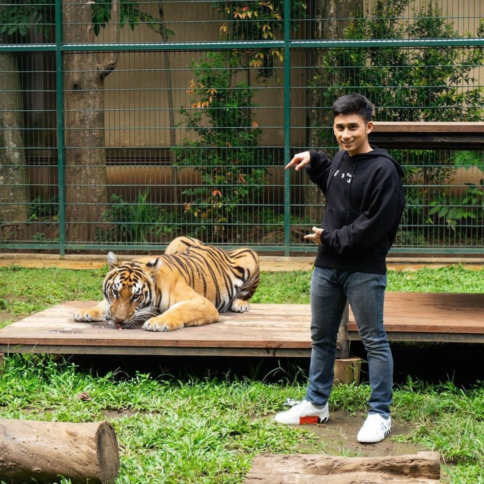 Potret Alshad Ahmad dan Harimau. (Instagram/@alshadahmad)