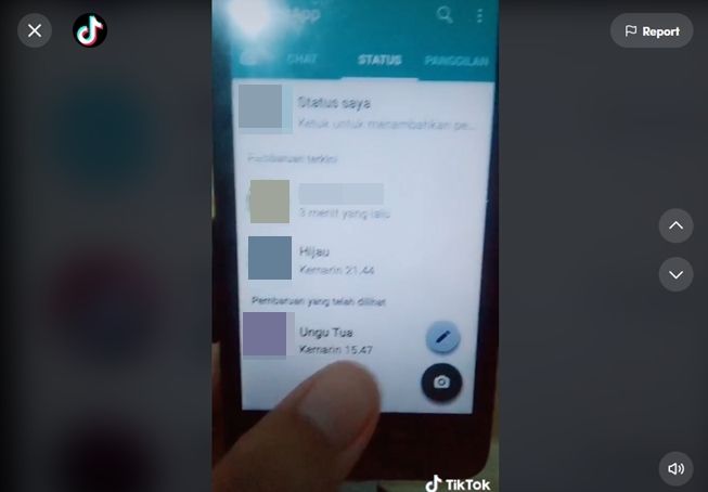 Viral wanita heran lihat nama kontak di WhatsApp adik. (TikTok/@buatseruu)