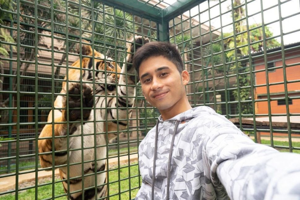 Potret Alshad Ahmad dan Harimau. (Instagram/@alshadahmad)