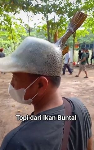 Topi terbuat dari ikan buntal. (Tiktok/@bhabin_avatar)