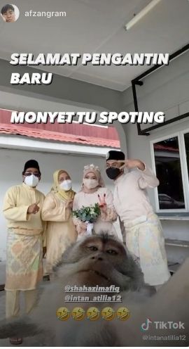 viral pernikahan ada penampakan monyet. (Dok. TikTok)
