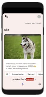 Inovasi Google Assistant. [Google Indonesia]