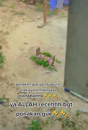 Wanita syok ada kuburan di samping kamar. (Tiktok/@stowberrry)