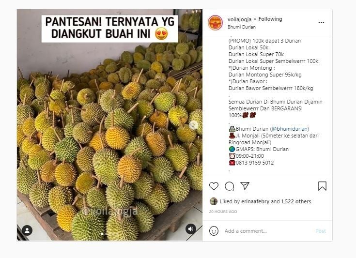 Bhumi Durian (Instagram @voilajogja)