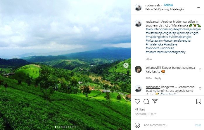 Kebun Teh Cipasung (instagram)