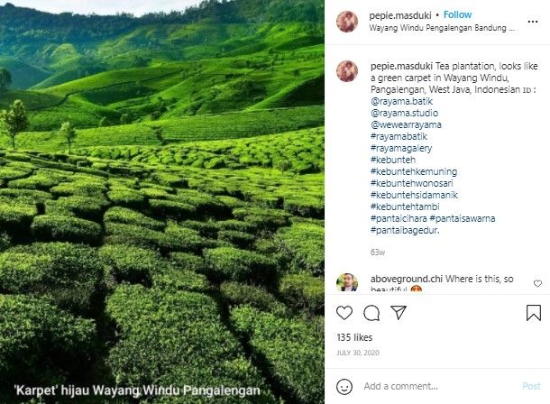 Kebun Teh Kemuning (instagram)