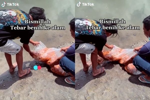 Viral Cowok Tebar Benih Ikan Koi ke Alam. (TikTok)