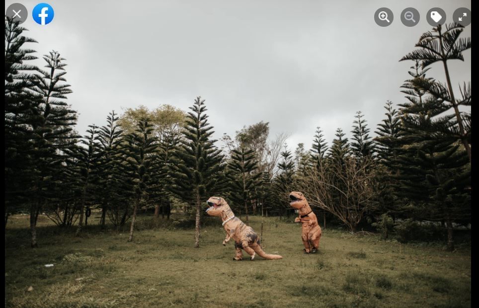 Viral Foto Prewedding Pakai Kostum Dinosaurus (facebook.com/brideandbreakfast)