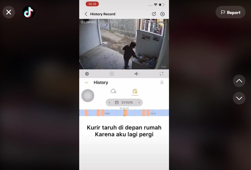 Misteri Paket Hilang Terungkap, Perempuan Ini Kok Malah Disalahkan Warganet? (Dok: TikTok/ratnapalupill)