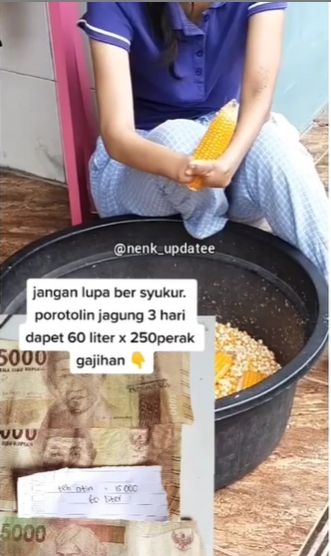 Kisah wanita disabilitas kerja menguliti jagung hanya digaji Rp 15 ribu. (Instagram/nenk_updatee)