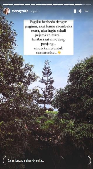 Postingan Shandy Aulia (Instagram.com)