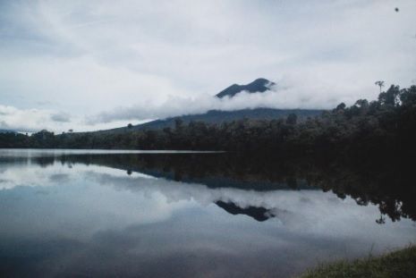 Gunung Masurai di Jambi. (Dok. EIGER)