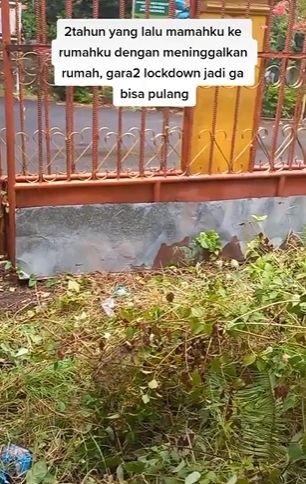 Kondisi rumah setelah ditinggal 2 tahun. (Tiktok)