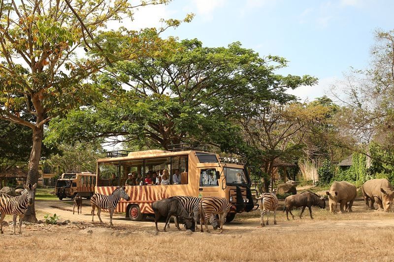 Bali Safari Marine Park