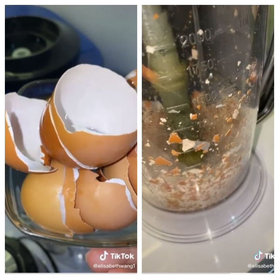 Cangkang telur untuk menajamkan pisau blender tumpul (TikTok @elisabethwang1)