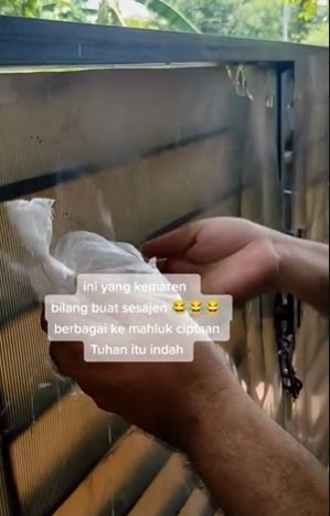 Beras di atas pagar dikira sesajen. (Tiktok)