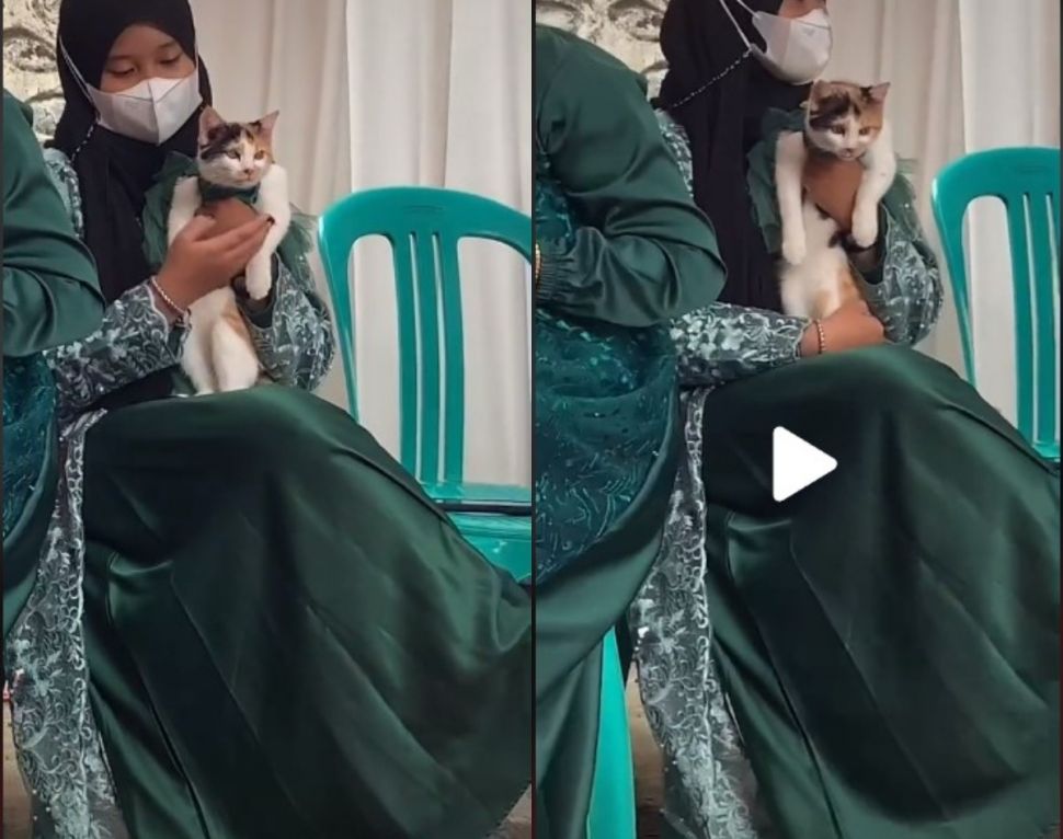 Bukan Pasangan, Perempuan Ini Gandeng Kucing Seragaman ke Kondangan